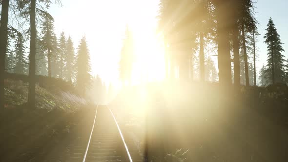 Flight Over Railway