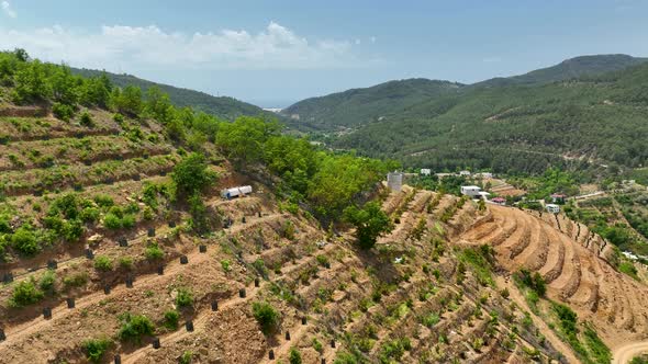 Farmers build an avocado garden in the mountains aerial view 4 K