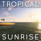 Tropical Sunrise - VideoHive Item for Sale