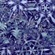 Winter Snowflakes Bg - VideoHive Item for Sale