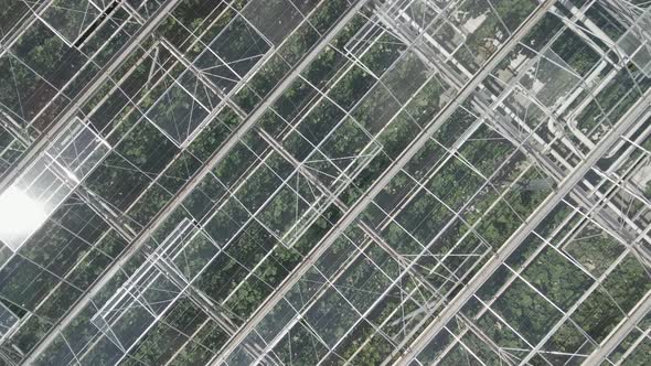 Summer greenhouses