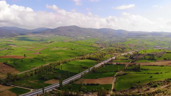 A Gorgeous Green Nature and Road