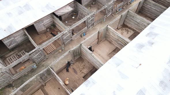 Aerial View of a Shelter for Stray Dogs.