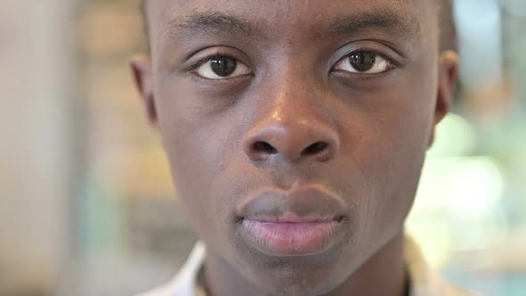 Face Close Up of African Man Looking at Camera