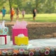 Children running to birthday presents on picnic table - VideoHive Item for Sale