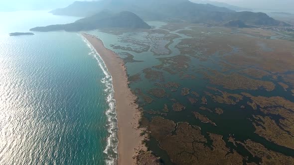 Delta, Swamp, Wetland, Sea and Morass by the Sea