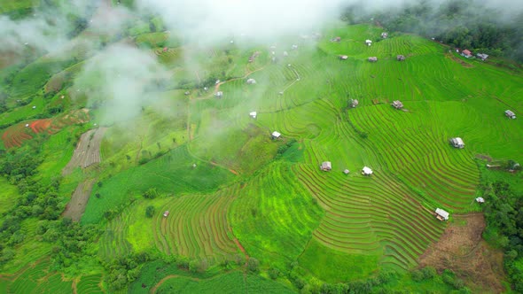 Drone flying over fields in Pa pong piang rice terraces