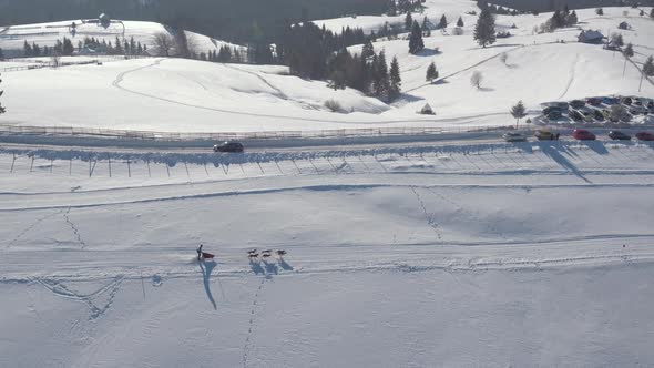 Aerial view of a dog sled