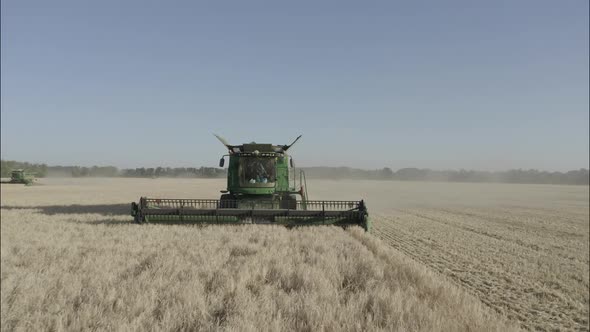 Combine Harvesting Wheat Top View of a Wheatfield