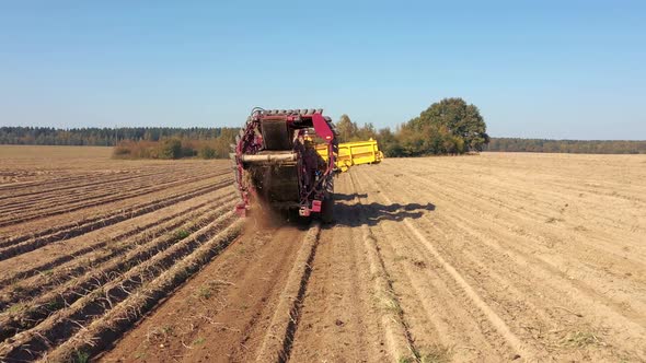 Tractor Machine Combine Harvests Ripe Potatoes From A Rural Agricultural Field