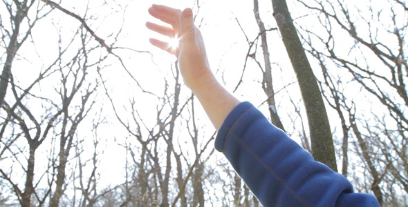 Sun's Rays Through Fingers Palm 1