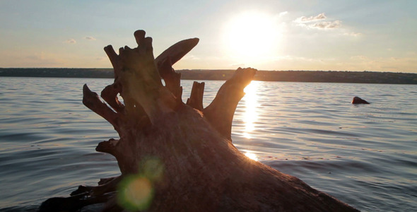 Old Log Over The Lake 1 alt