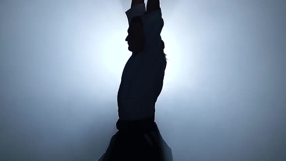 Silhouette of the Master Martial Arts Aikido Training Isolated on Spotlights Background. Slow Motion