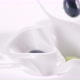 Blueberries and Kiwi Falling Into Thick White Cream - VideoHive Item for Sale