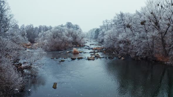 River among trees in winter. 