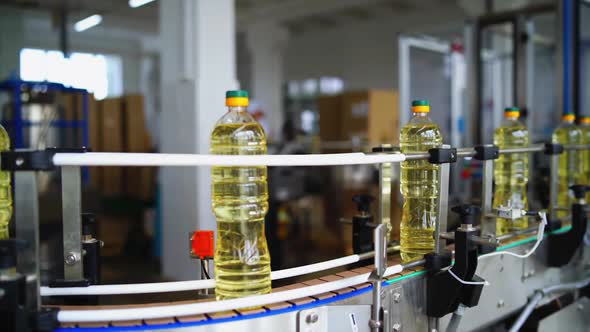 Bottles of oil moving on the conveyor line. 