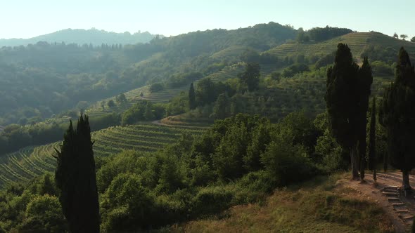 Aerial view of an idyllic stepped hill in the Po Valley, Italy.