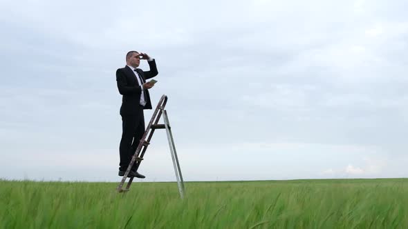 Career Ladder in the Middle of the Field