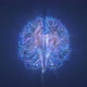 Brain - Polar Lights and Star Nebula - VideoHive Item for Sale
