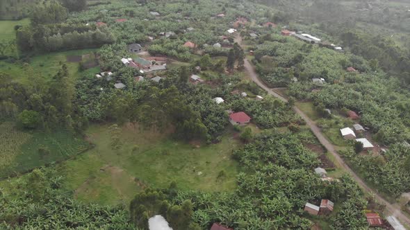 Aerial drone shot of some houses scattered by green and nature.Uganda, Africa