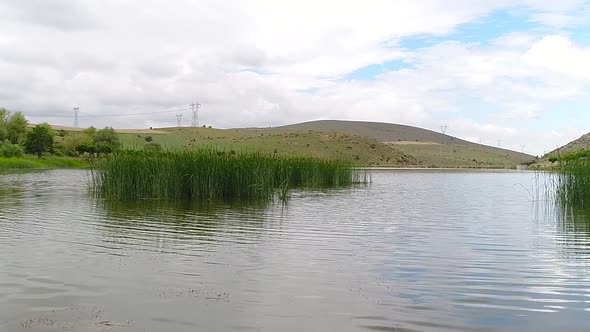 Lake and reeds.