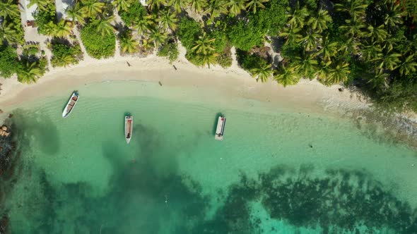 Beautiful Fiji Island Composed Of A White Sand And Palm Trees With Boat Floating On The Sea And Tour