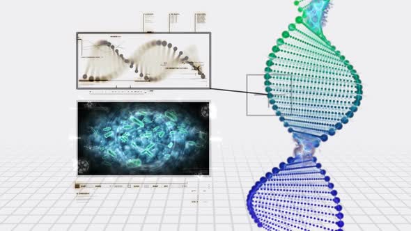 Genetic information