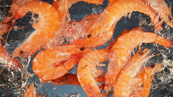 Super Slow Motion Shot of Fresh Shrimps Falling and Splashing Into Water at 1000 Fps
