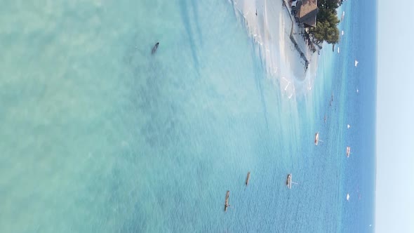 Zanzibar Tanzania  Vertical Video of the Ocean Near the Coast Slow Motion