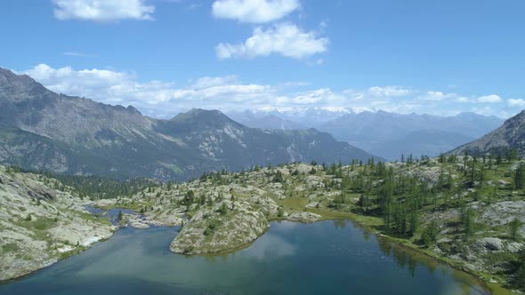 Moving Backward Above Clear Blue Lake and Pine Woods in Sunny Summer Day