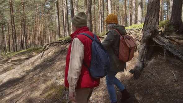 Two Elderly Hikers on Walk