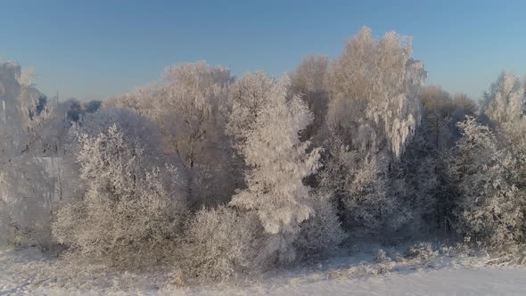 Winter Landscape in Countryside