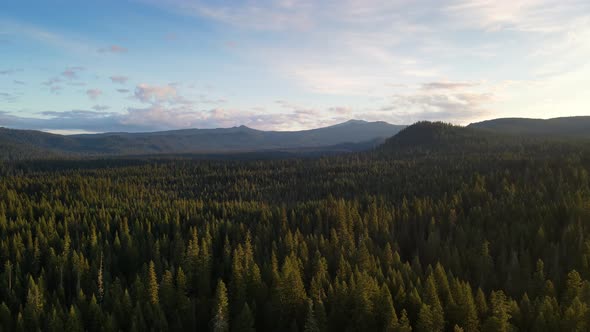 Flying over a forest in Oregon