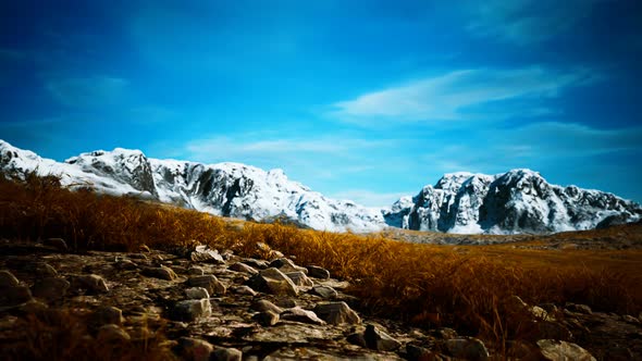 Dry Grass and Snow Covered Mountains in Alaska