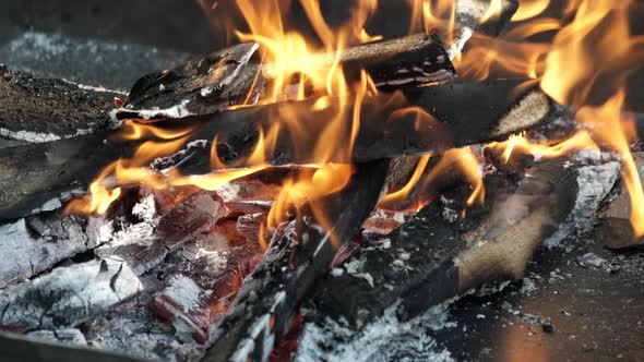 Dry wood burns in the fire - slow motion.