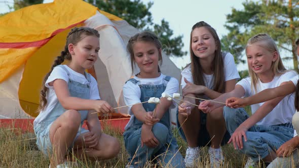 Group of Happy Girls Frying Marshmallows on Campfire