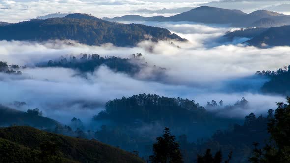 Morning Fog Landscape in the Forest Mountains, Sri Lanka 