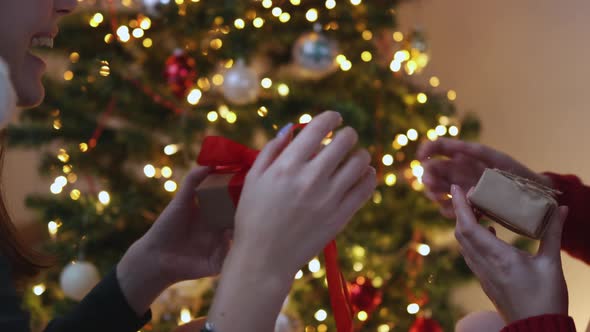 Couple Hands Giving Christmas Gift Each Other Opening New Year Present Fir Tree