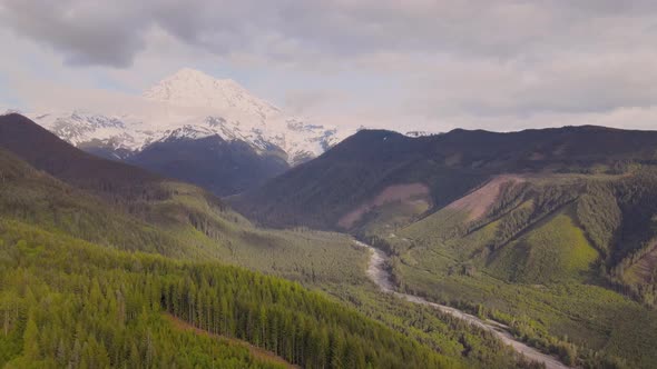 Flight above the gorgeous green woodlands near Mount Rainier, Washington State