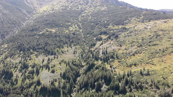 Aerial Panoramic View of Green Mountain Range and Hills in Valley of Carpathian