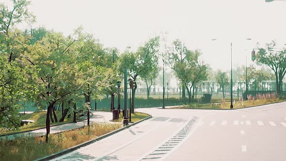 View of Empty Road with Lamp Post and Sunlight