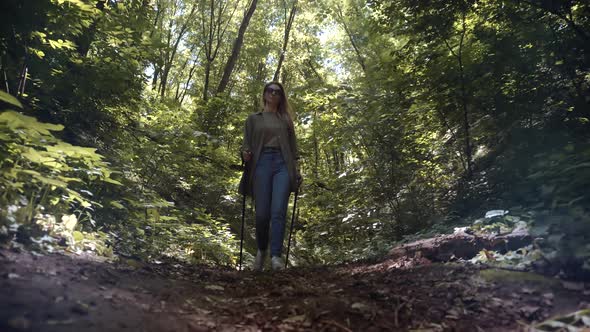 Hiker Practicing Nordic Walking In Forest. Sticks Walking On Jungle Foliage. Nordic Walking.