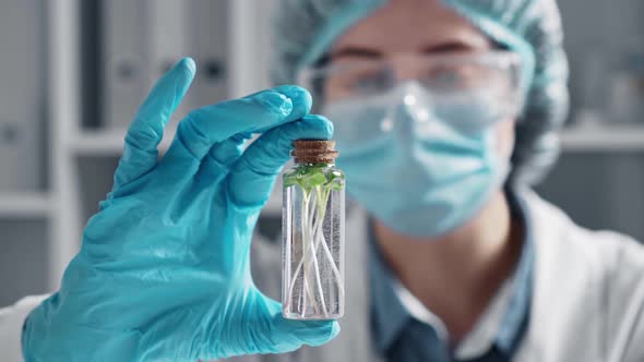 Biotechnology Concept With Scientist In Laboratory. A Woman Scientist Is Engaged In Study Of Plants