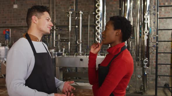 Diverse male and female colleague at gin distillery talking and turning to camera smiling