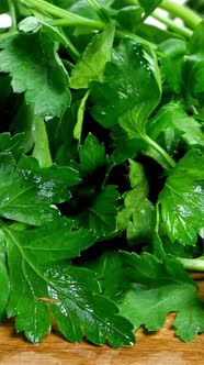 Large Bunch of Fresh Green Parsley Lies on Wooden Cutting Board in Domestic Kitchen