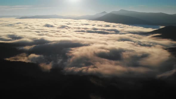 Aerial view: Amazing Thick Morning Fog Covering Mountains Spice and Spruce Forest.