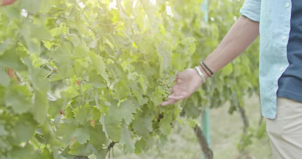 Detail of Man Hands Touching Grapes. Romantic Love Couple, Man and Woman Smiling and Walking Near