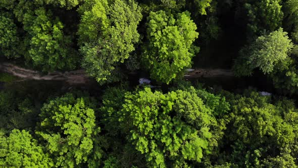 Aerial top view forest.