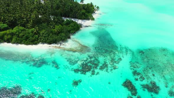 Aerial above seascape of marine resort beach wildlife by transparent water and clean sandy backgroun