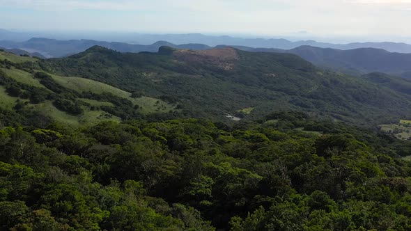 Tropical Green Forest and Jungle on the Slopes of the Mountains of Sri Lanka